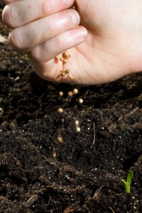 spring is a time for growth